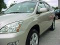 2008 Savannah Metallic Lexus RX 350  photo #13