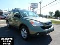 2009 Green Tea Metallic Honda CR-V LX 4WD  photo #1