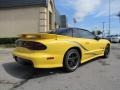 2002 Collector Edition Yellow Pontiac Firebird Trans Am WS-6 Coupe  photo #7