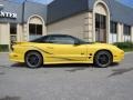 2002 Collector Edition Yellow Pontiac Firebird Trans Am WS-6 Coupe  photo #8