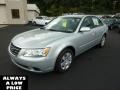 Radiant Silver - Sonata GLS Photo No. 3