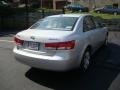 Bright Silver - Sonata GLS Photo No. 5