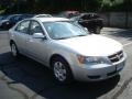 Bright Silver - Sonata GLS Photo No. 10