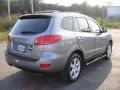 2007 Steel Gray Hyundai Santa Fe Limited  photo #4