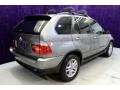 Sterling Grey Metallic - X5 3.0i Photo No. 31