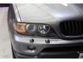 Sterling Grey Metallic - X5 3.0i Photo No. 35