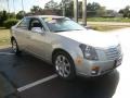 Light Platinum - CTS Sedan Photo No. 3