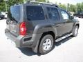 2010 Night Armor Metallic Nissan Xterra S  photo #5