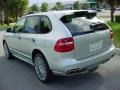 Crystal Silver Metallic - Cayenne GTS Photo No. 6