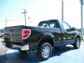 2010 Tuxedo Black Ford F150 XL Regular Cab  photo #3