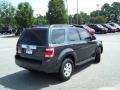 2008 Tungsten Grey Metallic Ford Escape Limited  photo #5