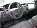 2010 Blue Flame Metallic Ford F150 XL Regular Cab  photo #6