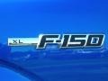 2010 Blue Flame Metallic Ford F150 XL Regular Cab  photo #4