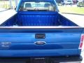 2010 Blue Flame Metallic Ford F150 XL Regular Cab  photo #9