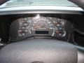 Silver Birch Metallic - Express EXT LS 3500 Passenger Van Photo No. 13