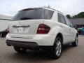 2008 Arctic White Mercedes-Benz ML 350 4Matic Edition 10  photo #4