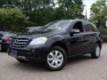 Black - ML 350 4Matic Photo No. 1