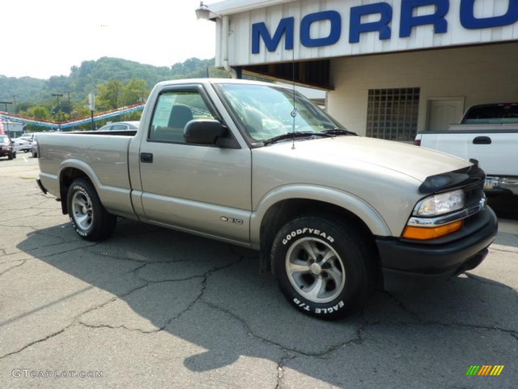 1998 S10 Regular Cab - Pewter Metallic / Graphite photo #2