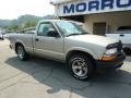 1998 Pewter Metallic Chevrolet S10 Regular Cab  photo #2