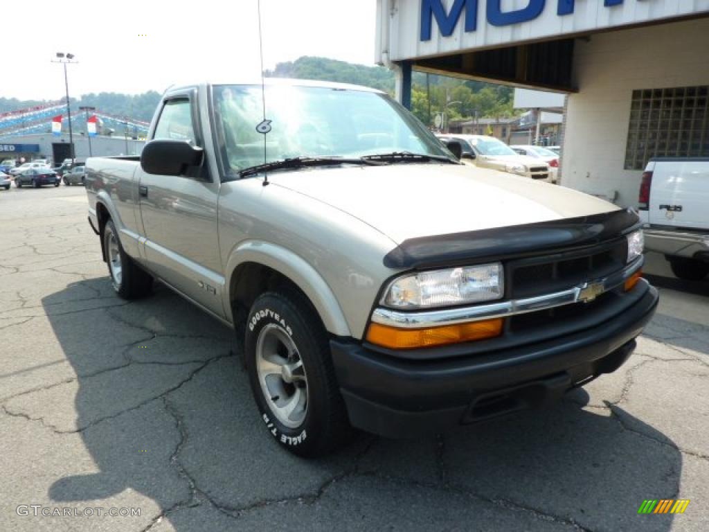 1998 S10 Regular Cab - Pewter Metallic / Graphite photo #3