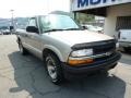 1998 Pewter Metallic Chevrolet S10 Regular Cab  photo #3