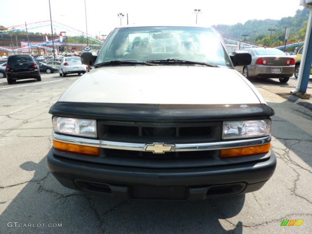 1998 S10 Regular Cab - Pewter Metallic / Graphite photo #4
