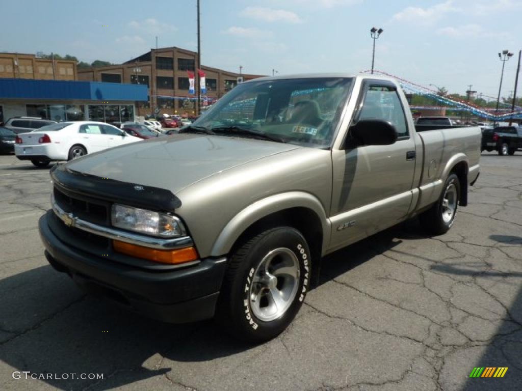 1998 S10 Regular Cab - Pewter Metallic / Graphite photo #5