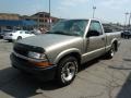 1998 Pewter Metallic Chevrolet S10 Regular Cab  photo #5