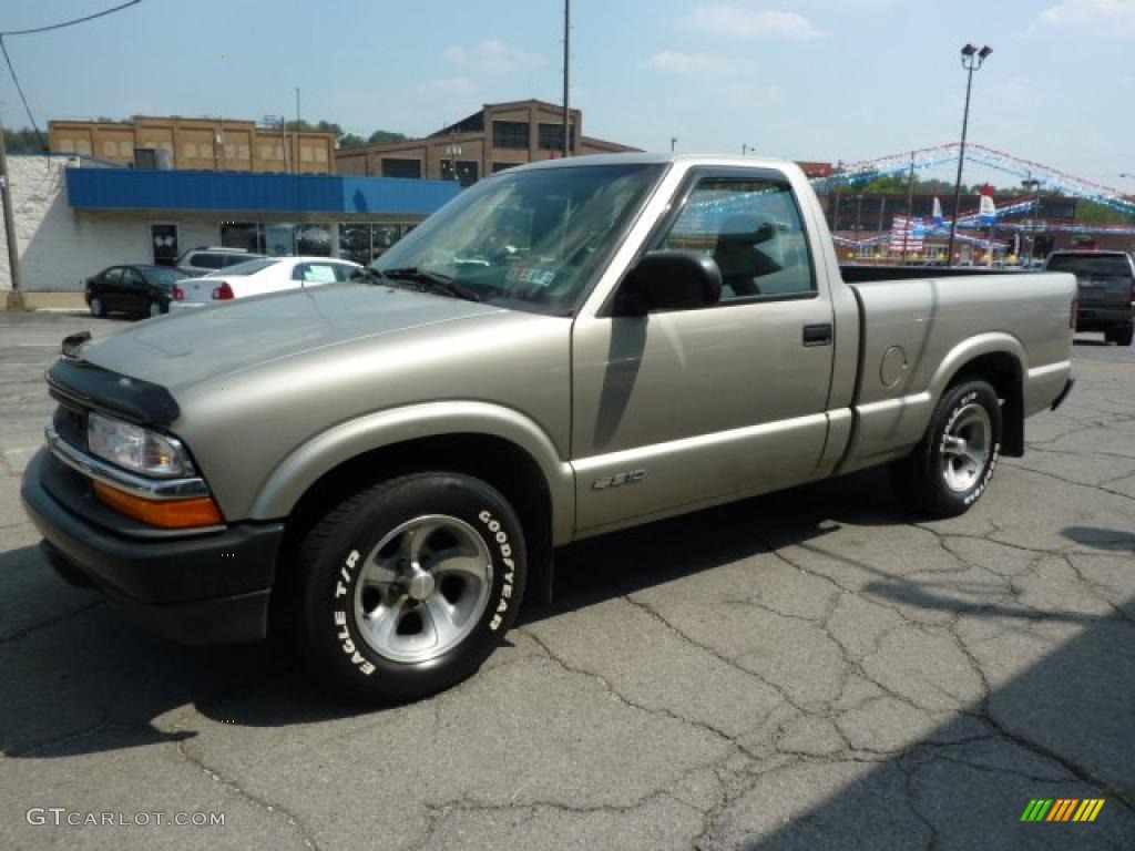 1998 S10 Regular Cab - Pewter Metallic / Graphite photo #6