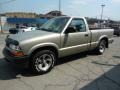 1998 Pewter Metallic Chevrolet S10 Regular Cab  photo #6