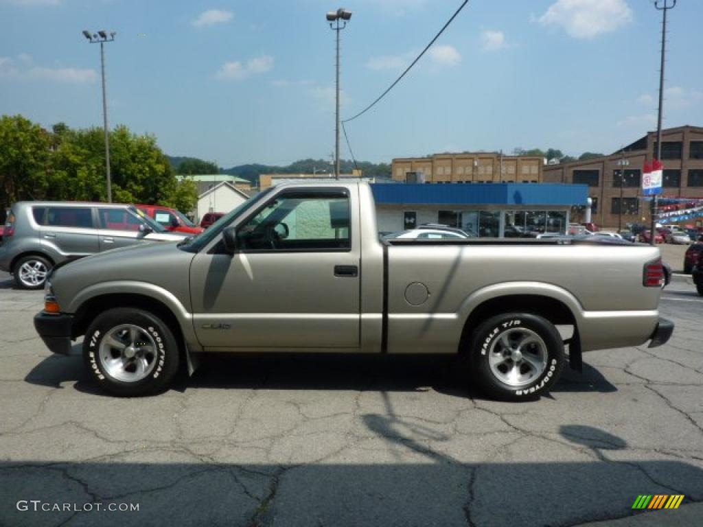 1998 S10 Regular Cab - Pewter Metallic / Graphite photo #7