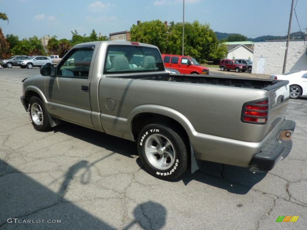1998 S10 Regular Cab - Pewter Metallic / Graphite photo #8