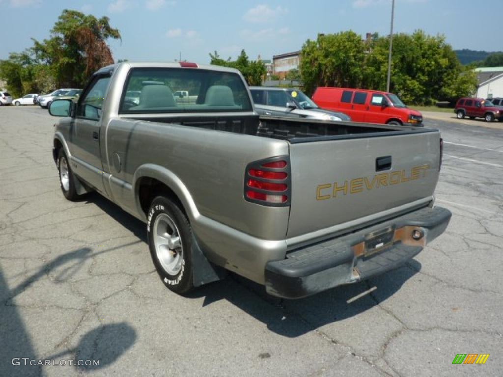 1998 S10 Regular Cab - Pewter Metallic / Graphite photo #9