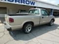1998 Pewter Metallic Chevrolet S10 Regular Cab  photo #12