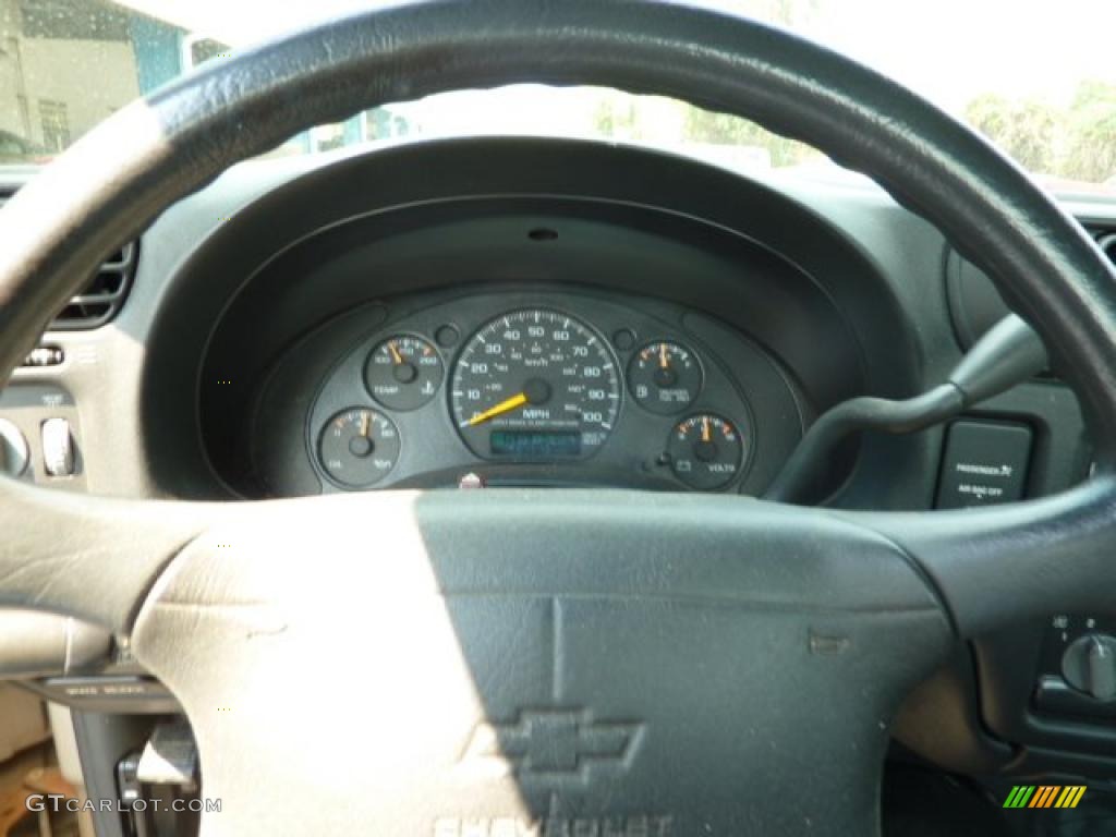 1998 S10 Regular Cab - Pewter Metallic / Graphite photo #24