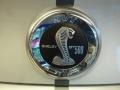 2010 Sterling Grey Metallic Ford Mustang Shelby GT500 Coupe  photo #9