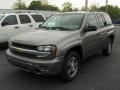 Graystone Metallic - TrailBlazer LS 4x4 Photo No. 1