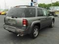 Graystone Metallic - TrailBlazer LS 4x4 Photo No. 3