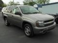 Graystone Metallic - TrailBlazer LS 4x4 Photo No. 4