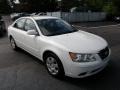Pearl White - Sonata GLS Photo No. 6