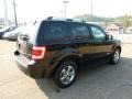 Black - Escape Limited 4WD Photo No. 4