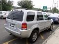 2004 Satin Silver Metallic Ford Escape Limited 4WD  photo #7