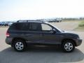 Steel Blue - Santa Fe GLS 4WD Photo No. 4