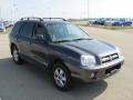 Steel Blue - Santa Fe GLS 4WD Photo No. 5