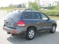 Steel Blue - Santa Fe GLS 4WD Photo No. 11