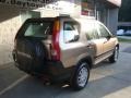 2004 Mojave Mist Metallic Honda CR-V LX 4WD  photo #2