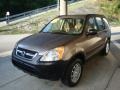 2004 Mojave Mist Metallic Honda CR-V LX 4WD  photo #5
