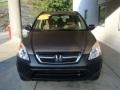 2004 Mojave Mist Metallic Honda CR-V LX 4WD  photo #6