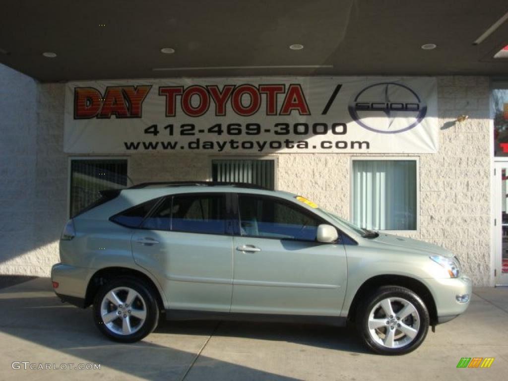 2006 RX 330 - Bamboo Pearl / Light Gray photo #1