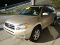 Beige Metallic - RAV4 Limited 4WD Photo No. 5